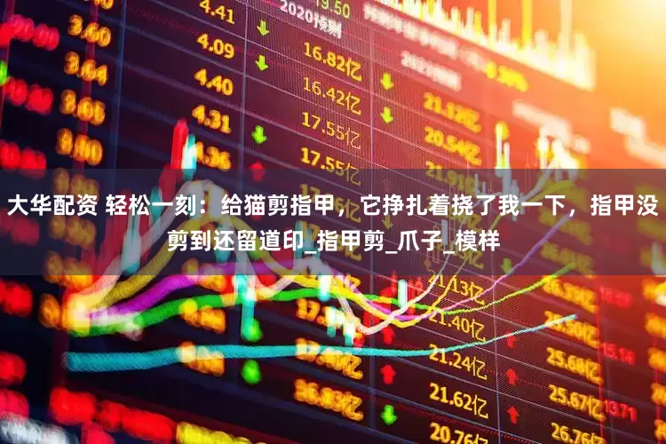 大华配资 轻松一刻：给猫剪指甲，它挣扎着挠了我一下，指甲没剪到还留道印_指甲剪_爪子_模样