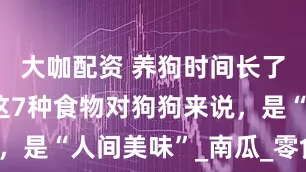 大咖配资 养狗时间长了才知道，这7种食物对狗狗来说，是“人间美味”_南瓜_零食_肠胃
