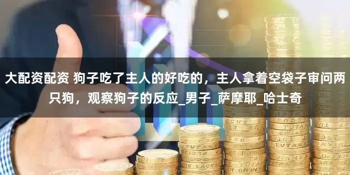 大配资配资 狗子吃了主人的好吃的，主人拿着空袋子审问两只狗，观察狗子的反应_男子_萨摩耶_哈士奇