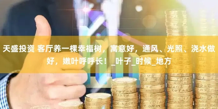 天盛投资 客厅养一棵幸福树，寓意好，通风、光照、浇水做好，嫩叶呼呼长！_叶子_时候_地方