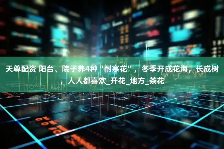 天尊配资 阳台、院子养4种“耐寒花”，冬季开成花海，长成树，人人都喜欢_开花_地方_茶花