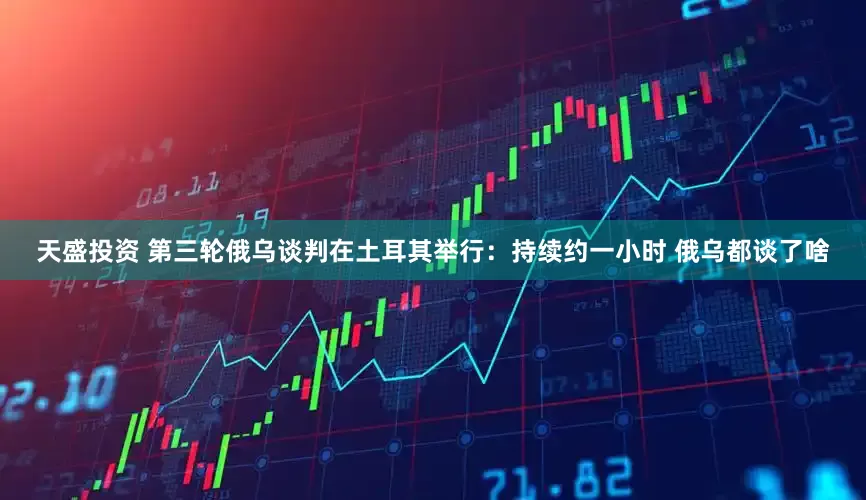天盛投资 第三轮俄乌谈判在土耳其举行：持续约一小时 俄乌都谈了啥