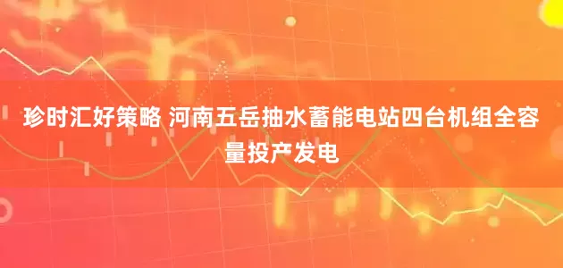 珍时汇好策略 河南五岳抽水蓄能电站四台机组全容量投产发电